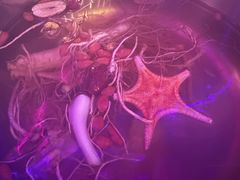 鲜人参锅底-千岛蚝高压锅生蚝·人参火锅(白云万达店)