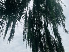 -昆明柏联SPA温泉