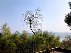 -天目湖涵田半山温泉