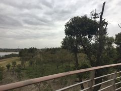 -江滩湿地公园