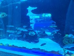 -成都浩海立方海洋公园