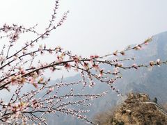 -圣莲山风景区