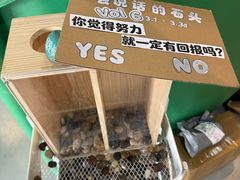 -绿壁虎攀岩基地(Tcar店)