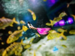 -石家庄极地海洋世界