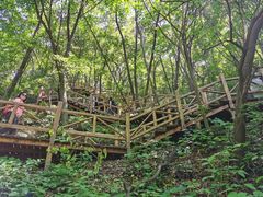 -大岭沟猕猴桃谷风景区