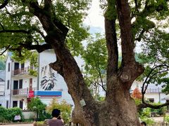 -清漾毛氏文化村
