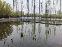 -莲花池公园