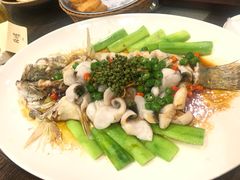 鲜花椒蒸桂花鲈-猪肉婆私房菜(容桂总店)
