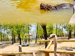 -大连森林动物园