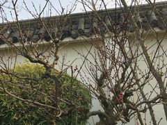 -三圣花乡旅游区