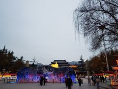 -金城公园