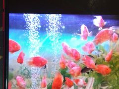 -清真悦宾楼食府(海湖店)