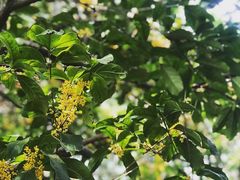 -南通博物苑-崇川人民公园