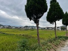 -呈坎景区