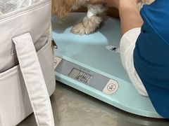 -米苏动物医院·犬猫专科·骨科外科内窥镜