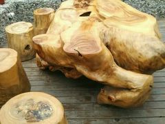 -上海多利农业发展有限公司