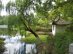 -范蠡湖公园