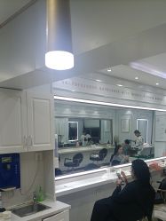 -镁连社·美联社