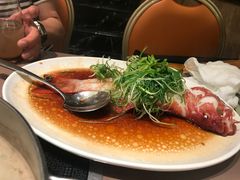 -協成海鮮火鍋(老店)