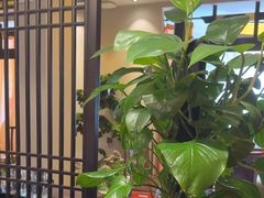 -二分八云雁阁•新晋菜大同味(长治路店)