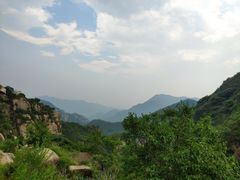 -大岭沟猕猴桃谷风景区