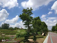 -南通洲际绿博园