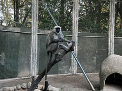 -上海野生动物园