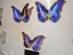 -上海昆虫博物馆