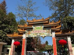 -广州市流溪河国家森林公园