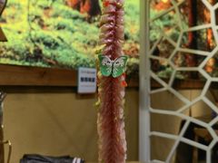 -土著渔匠·养生蝴蝶鱼(香樟路店)
