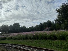 -歌斐颂巧克力小镇