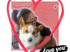 -安安宠医·安宠宠物医院