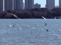 -蠡湖大桥公园