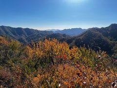 -大岭沟猕猴桃谷风景区