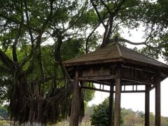 -东莞植物园