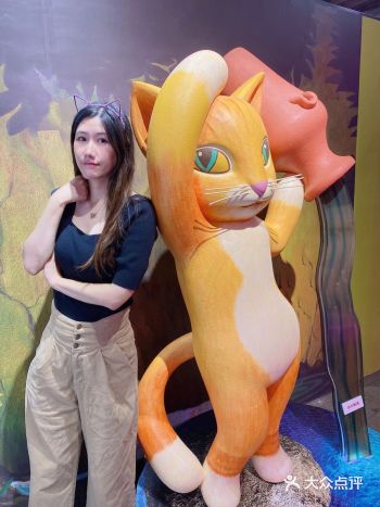 跟着豆豆玩｜掉进猫世界无法自拔