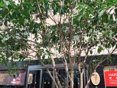 -上海锦江汤臣洲际大酒店壹阶层