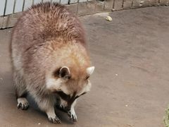 -石家庄市动物园