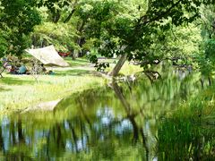 -上海共青森林公园