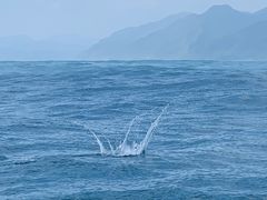-七星潭蓝天广场