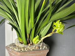 -旅马餐厅(茅家埠店)