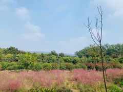 -五谷屯私房菜·始于2005(中山陵童卫路店)