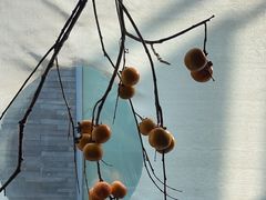 -曲廊院(东四十一条店)