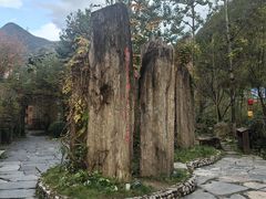 -牛背梁国家森林公园