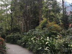 -成都市活水公园
