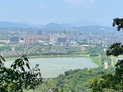 -风云岭森林公园