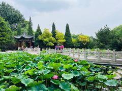 -晋祠公园