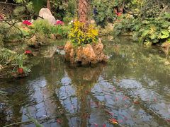 -南通洲际绿博园