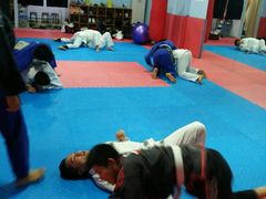 -金翼跆拳道巴西柔术拳击格斗学院