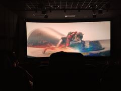 -奥斯卡升龙国际影城(RealD Cinema)